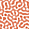 brown1.gif